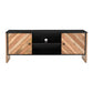 Zaritha 2 door tv cabinet